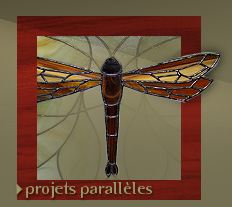 projets paralleles